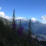 Perfect Flat In 4 Valleys *
