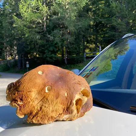 Perfect Flat In 4 Valleys Appartement Riddes