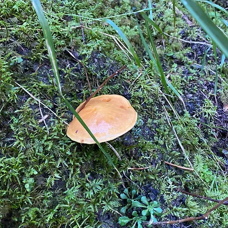 Perfect Flat In 4 Valleys Appartement