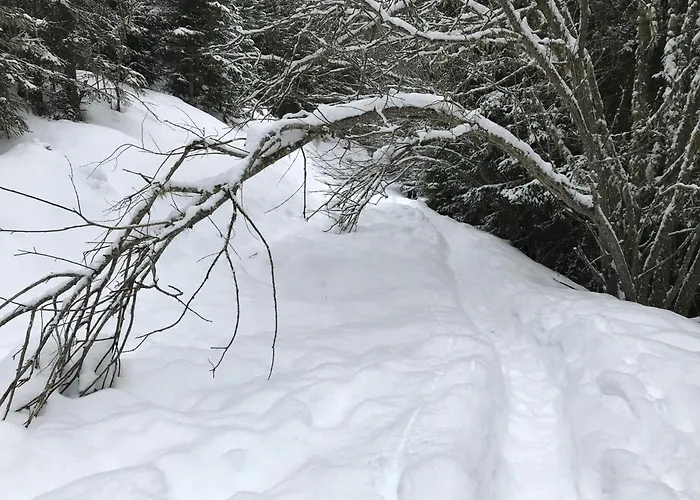 Perfect Flat In 4 Valleys *