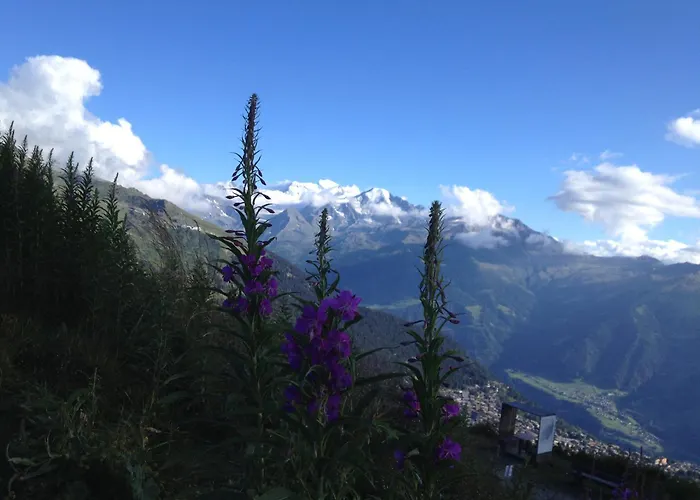 Perfect Flat In 4 Valleys *