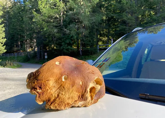 Perfect Flat In 4 Valleys Appartamento Riddes