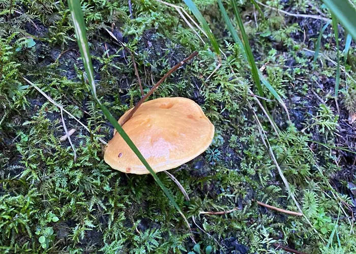 Perfect Flat In 4 Valleys Appartement