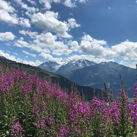 Perfect Flat In 4 Valleys