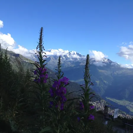 Perfect Flat In 4 Valleys *