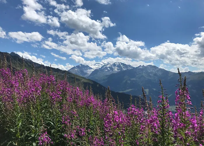 Perfect Flat In 4 Valleys